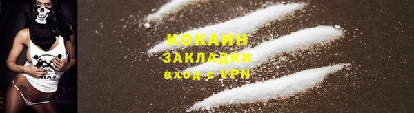 тгк Магас