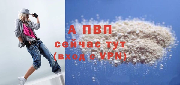 тгк Магас