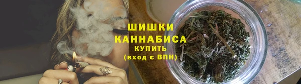 тгк Магас