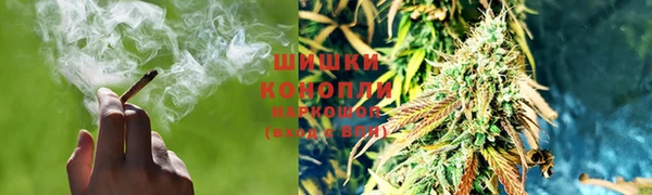 spice Липки