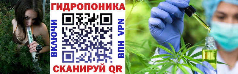 продажа наркотиков  Нерехта  Канабис семена 